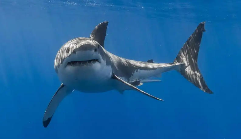 江苏安科防腐工程有限公司轮播图1