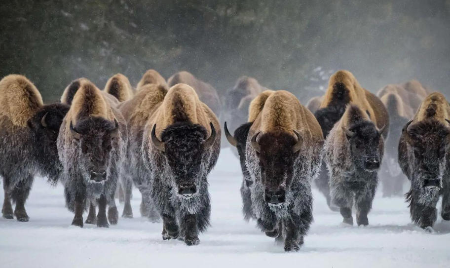 江苏安科防腐工程有限公司轮播图3